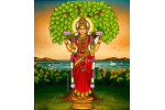 Sri Vasavi Mata Prana Prathishta Silver Sponsorship